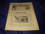 1900 nr 011 FREM Lys over land