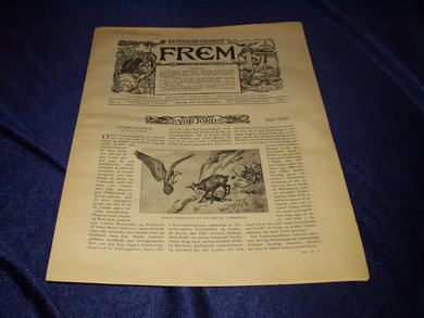 1900 nr 011 FREM Lys over land