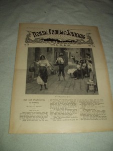 1904,nr 020, NORSK FAMILIE JOURNAL