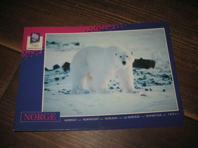 062 LOOC 1991 Isbjørn