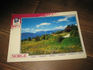 049, LOOC 1991, Telemark.