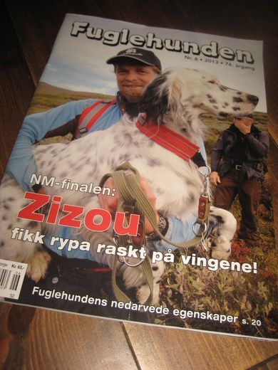 2013 nr 006 Fuglehunden