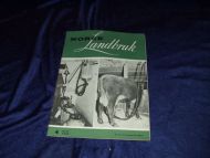 1960 nr 004 NORSK Landbruk