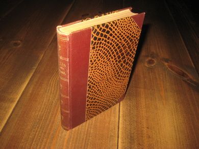 LIE, JONAS: FASTE FORLAND.  1. opplag, 1899. 