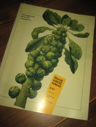 1991 nr 009 Norsk Hage Tidend
