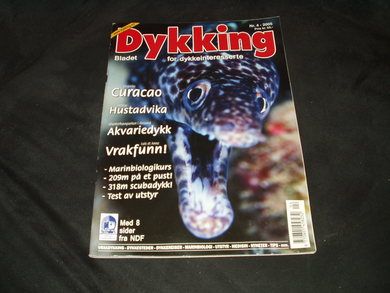 2005 nr 004 Dykking