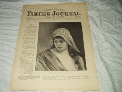 1894 nr 045 Illustrert Familie Journal