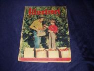 1956 nr 037 Illustrert