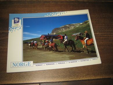 024 LOOC 1991 Ridetur under Hallingsskarvet