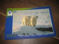 063 LOOC 1991 Isbjørner