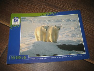 063 LOOC 1991 Isbjørner