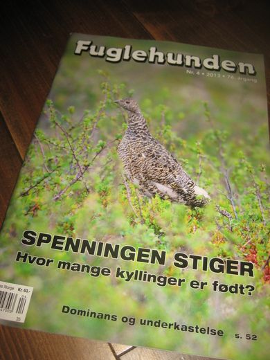 2013 nr 004 Fuglehunden