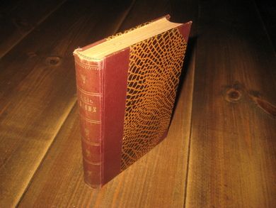 LIE, JONAS: NIOBE. 1. opplag, 1893. 