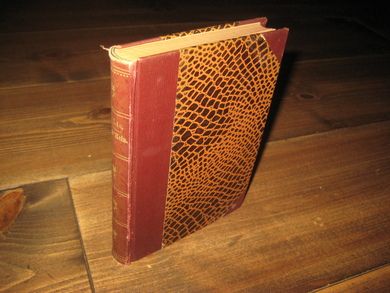 LIE, JONAS: DYRE REIN. 1896.