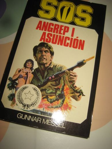 ANGREP I ASUNCION SOS NR 17 1981