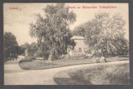 Lund. Parti av Botaniska Tredgården. 1909