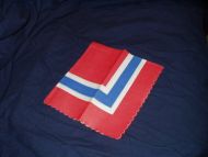 Den norske flagg