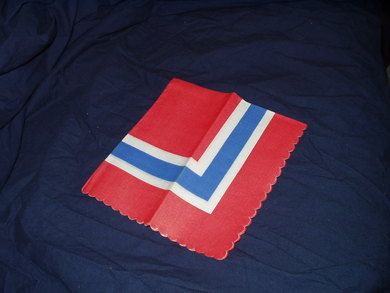 Den norske flagg