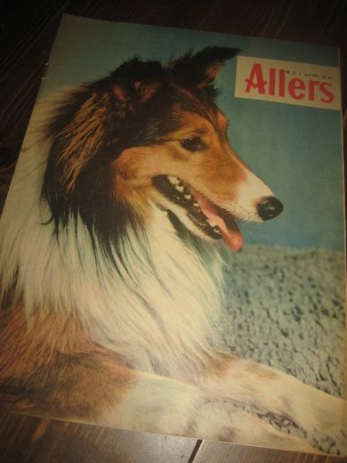 1954 nr 013 Allers