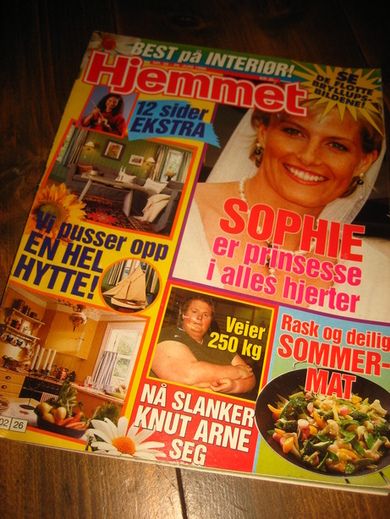 1999 nr 026 Hjemmet