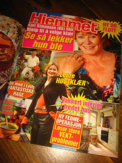 2003 nr 035 Hjemmet
