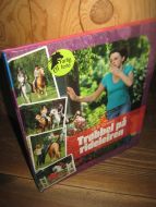 Toresen: Trøbbel på rideleiren. 2007.