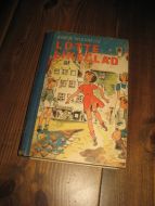 MICHAELIS: LOTTE LIKEGLAD 1945