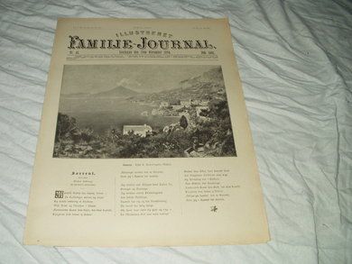 1894 nr 046 Illustrert Familie Journal