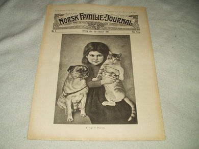 1905 nr 006 NORSK FAMILIE JOURNAL