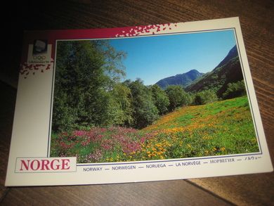 064 LOOC 1991 Sommer i Norge