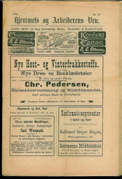 1893 nr 038 Hjemmets og Arbeidernes Ven
