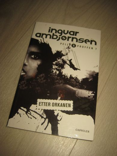 AMBJØRNSEN INGVAR: ETTER ORKANEN