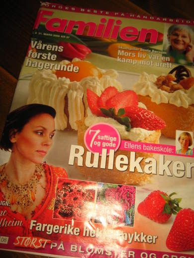 2008 nr 008 Familien