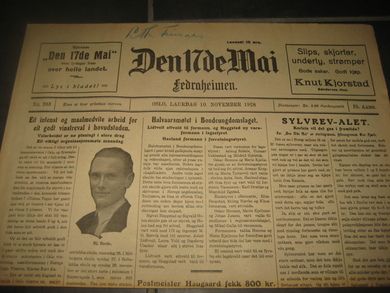 1928 nr 263 Den 17de Mai