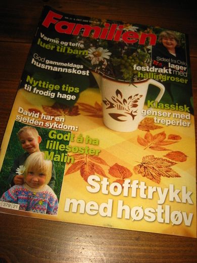 2003 nr 021 Familien