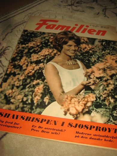 1966 nr 014 -15 FAMILIEN