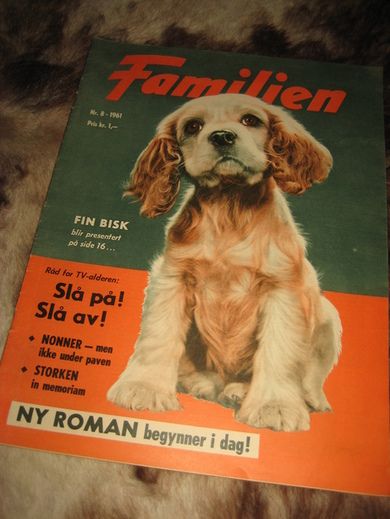 1961 nr 008 FAMILIEN