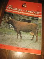 Buskap og avdrått, 1971,nr 006