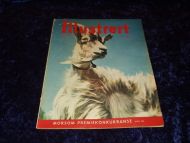 1956 nr 028 Illustrert