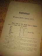 Kapitalstart for Bergens Stift i Aaret 1877.