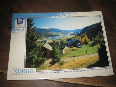 073 LOOC 1992 Fåvang Ringebu