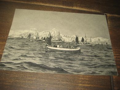 På Lofothavet. Eneret Wilse,