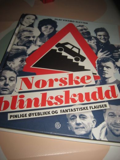 Norske blinkskudd Pinlige øyeblikk og fantastiske flauser 2008