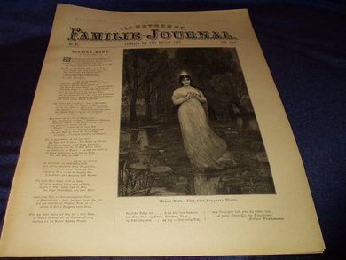 1895 nr 041 Illustrert Familie - Journal