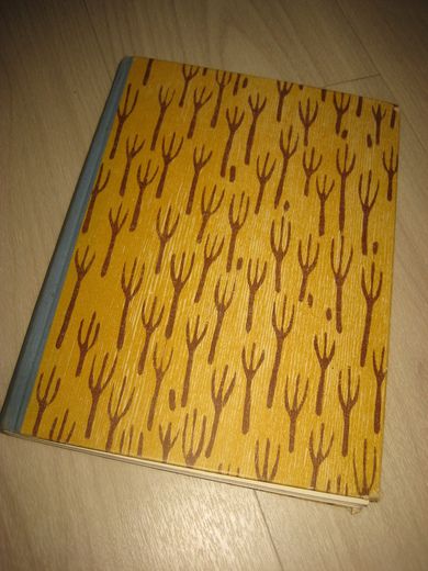 MILLER: BILLEDER FRA JESU LIV. 1954. 