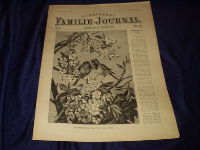1896 nr 036 Illustreret Familie Journal
