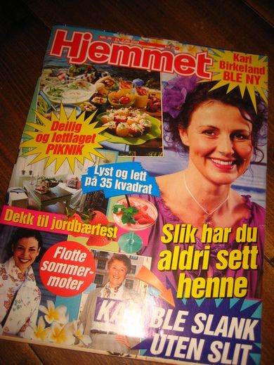 2002 nr 016 Hjemmet