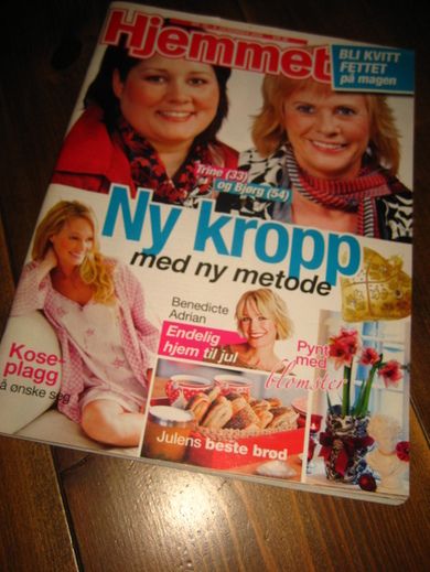 2008 nr 050 Hjemmet