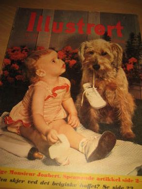 1961 nr 040 Illustrert