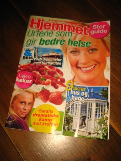 2009 nr 029 Hjemmet